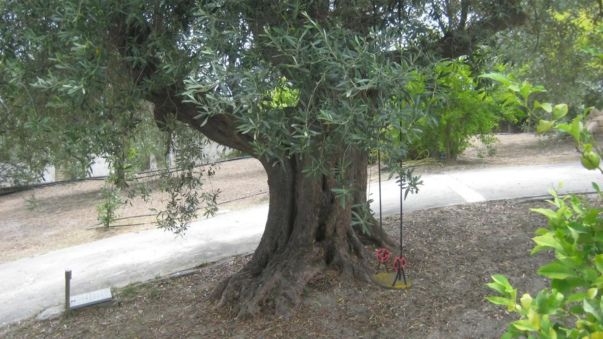 Holiday Home La Quiete Alghero